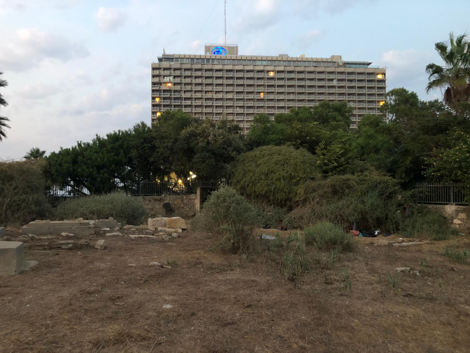 WhatsApp Image 2020-12-03 at 5.57.07 AM (1).jpeg.jpeg